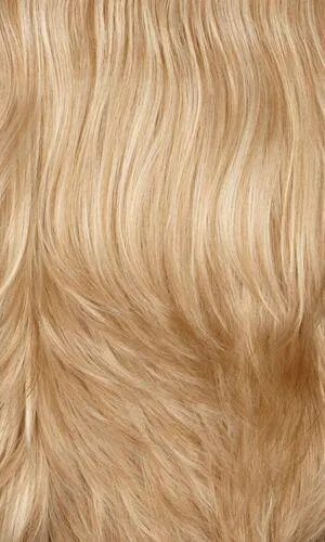 Carmen Wig by Henry Margu | Synthetic (Lace Front Highlighted)