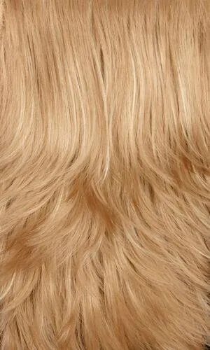 Carmen Wig by Henry Margu | Synthetic (Lace Front Highlighted)